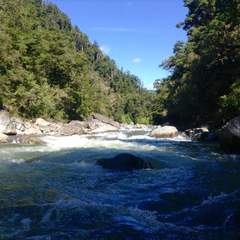 Wangapeka River (III/IV) from Kings Creek Hut to Rolling Junction ...