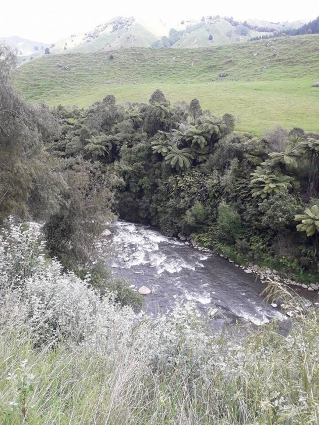 Whangaehu (iii) - Packraftingtrips.nz